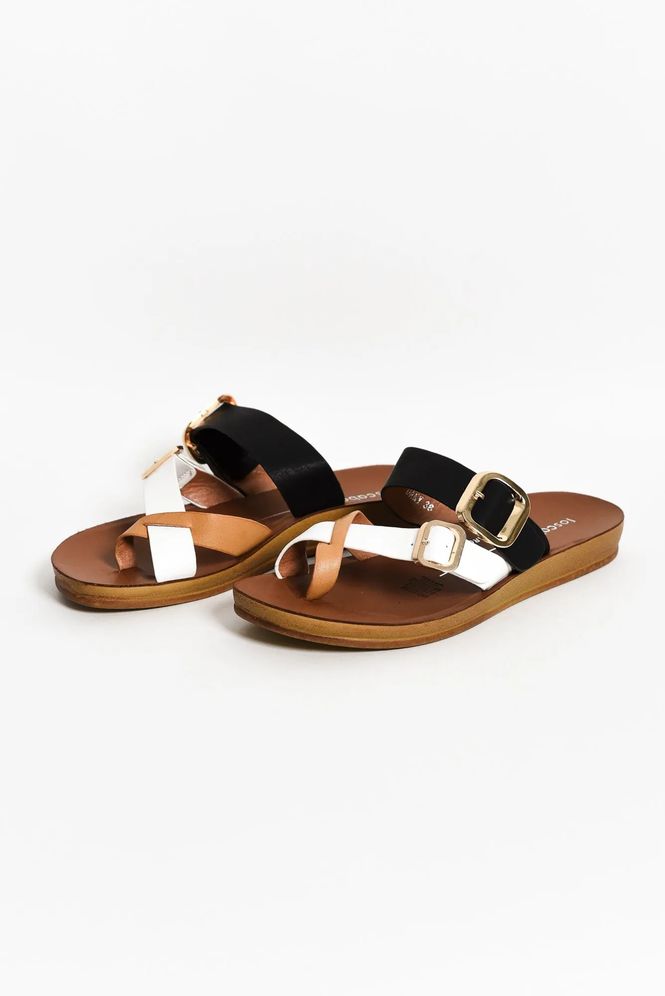 Dany Black Splice Buckle Slide