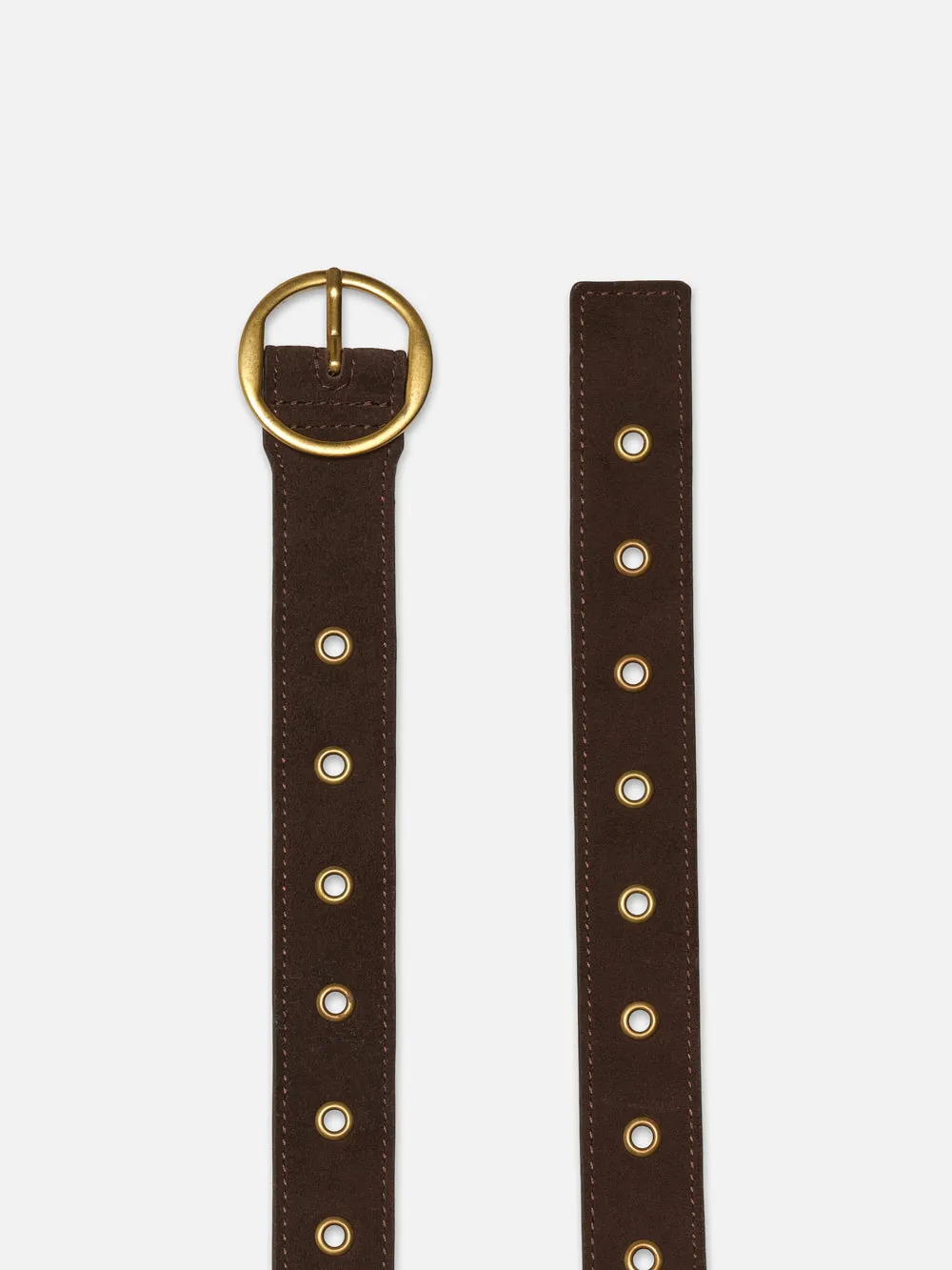 Petit Circle Belt -- Espresso Suede