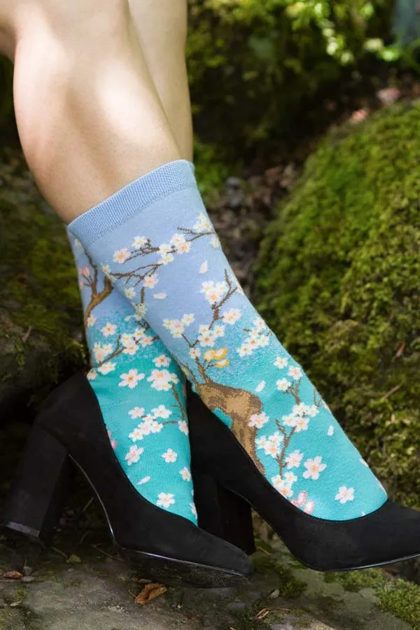 Spring Cherry Blossom Midcalf