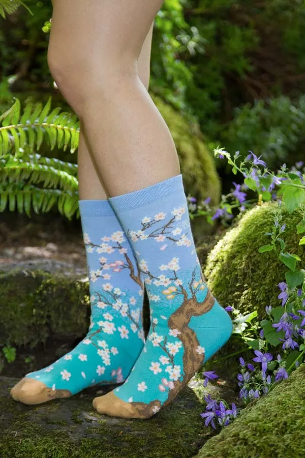 Spring Cherry Blossom Midcalf